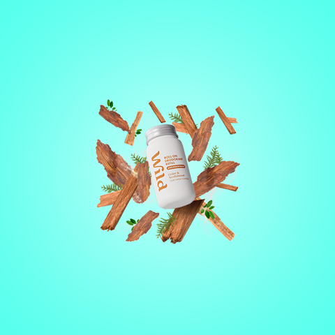Cedar & Sandalwood Antiperspirant Roll On Refill